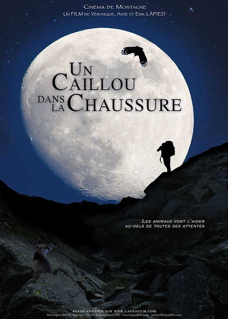 A Caillou lune applati A2 et A0.jpg