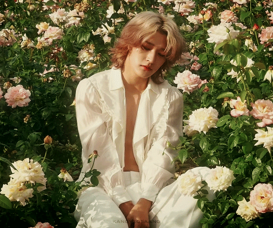 tumblr_0329dc9dc0c8a27ed359f0077b1e77bd_fa5a8678_540.gif