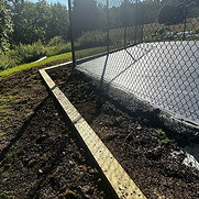 crawling asphalt damaged tennis court