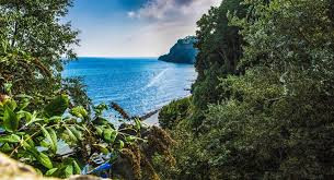Shanklin Chine