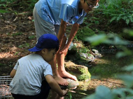 群馬県みなかみ町で「小さい子どもでも安心して遊べる川遊びスポットを探している」というご家族におすすめなのが、アニマルロッジ敷地内の小川遊びです。  「みなかみ 川遊び」と聞くと大きな川をイメージする方も多いですが、こちらは小さなお子さま向けの穏やかな沢遊びスポット。山から流れる冷たい沢の水は透明度が高く、浅い場所はくるぶしくらいの深さなので、初めての川遊びにもぴったりで
