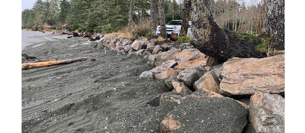 Foreshore restoration and erosion control: an emergent need