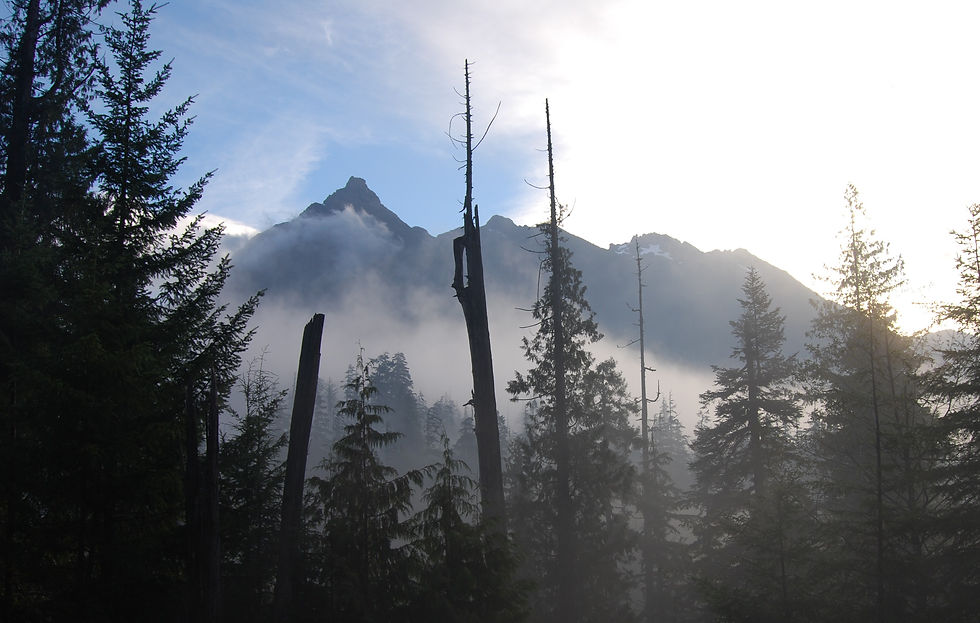 zeballos_river_valley.jpg