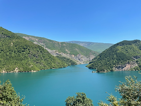IMG_1542.HEIC