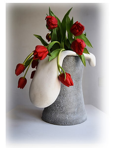 coulee blanche ettulipes.jpg