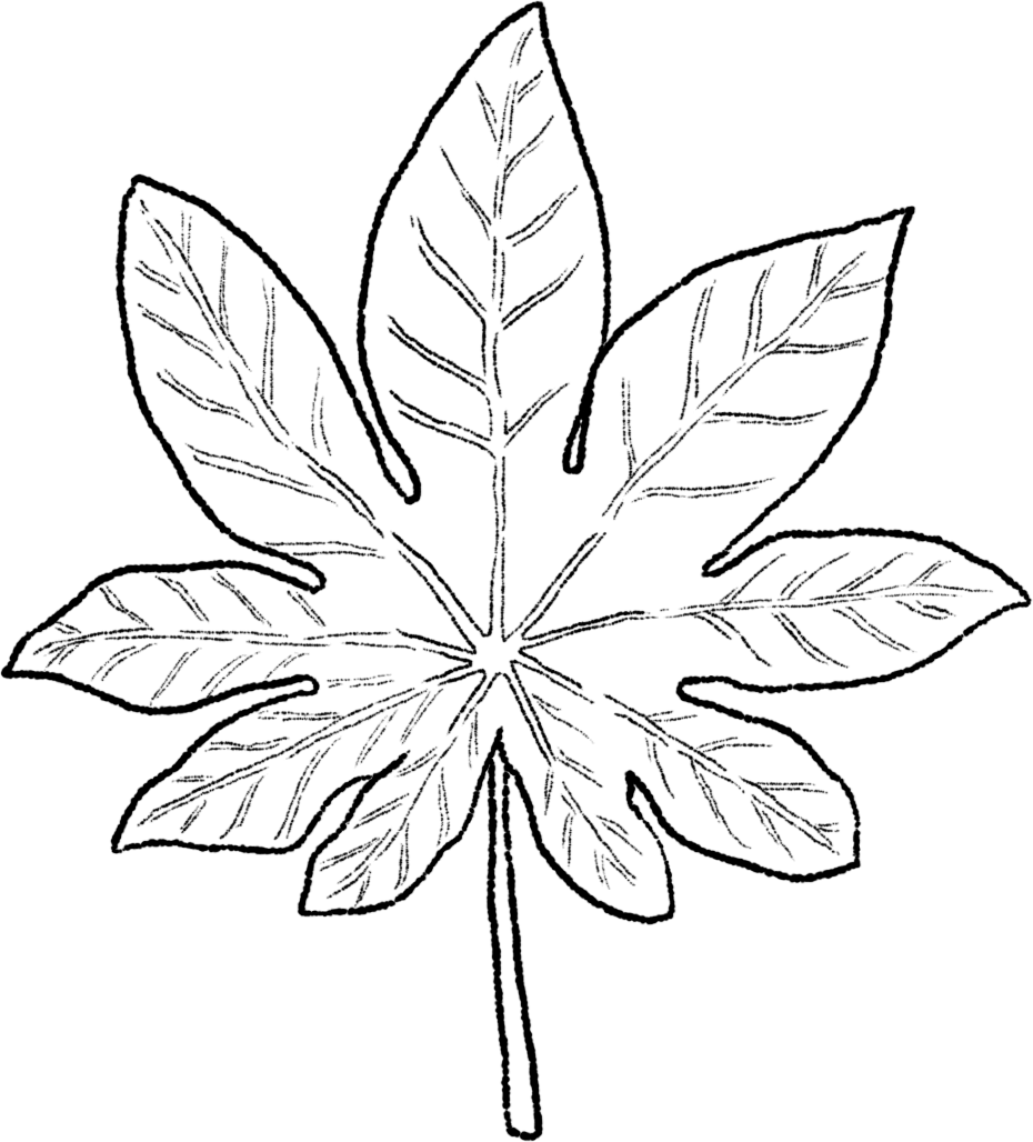 葉の素材 セット