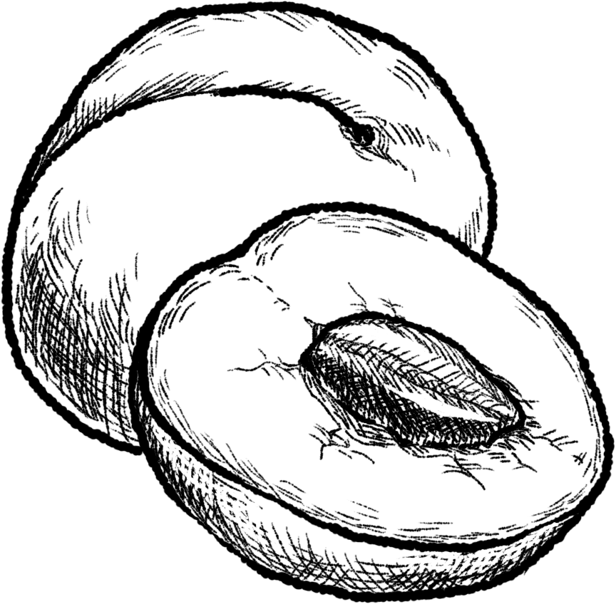 果物の手書き素材 セット