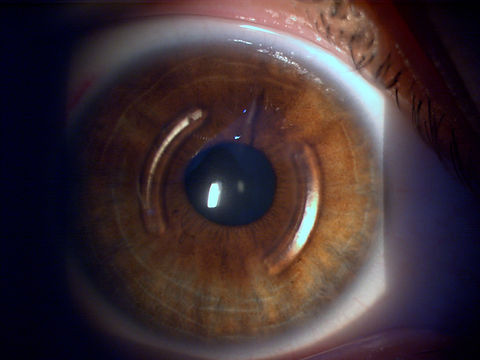 Imagen 452 - copia.jpg