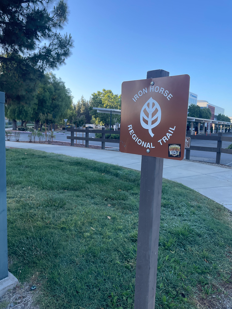 Day 2: Dublin to Antioch - The Iron Horse Trail and Co Co Canal