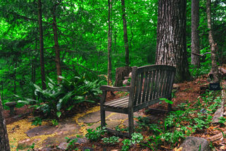 Preserve WEBSITE SIZED-1.jpg