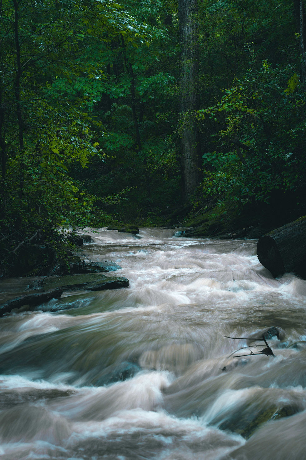 OMINOUS RIVER (THE FALLS).jpeg