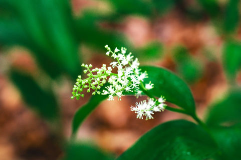 Preserve WEBSITE SIZED-14.jpg