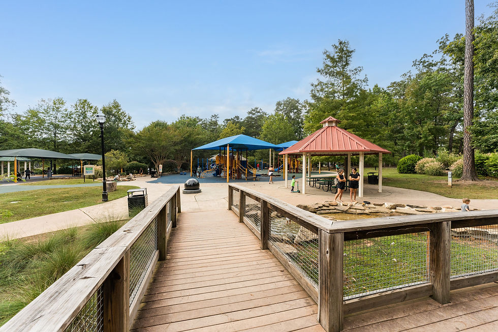 DUNWOODY - BrookRun31.jpg