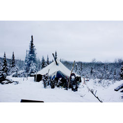 fullsizeoutput_363