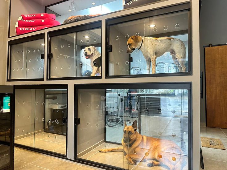 WhatsApp Image 2025-02-25 at 18.12.13.jpeg