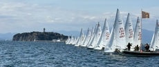 The 1st Fleet Race in 2026 Report Report