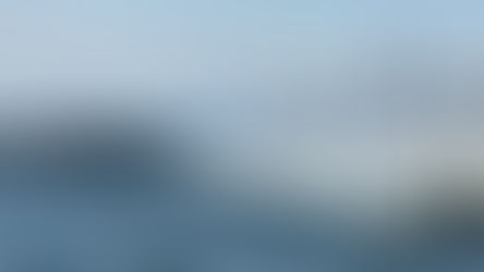 The 1st Fleet Race in 2026 Report Report