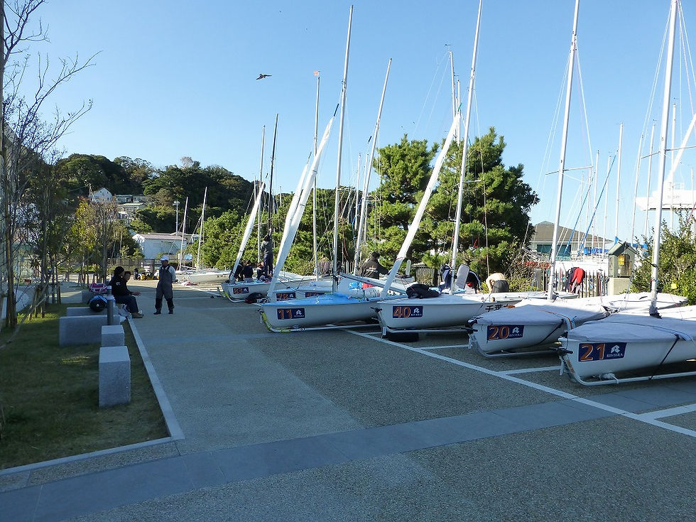 s-P1040781.jpg