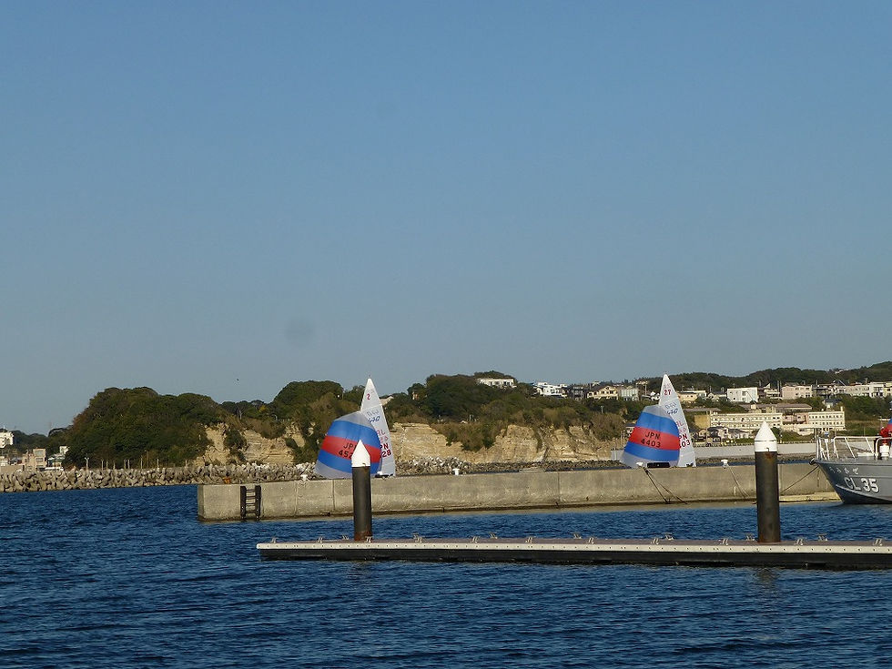 s-P1040788.jpg