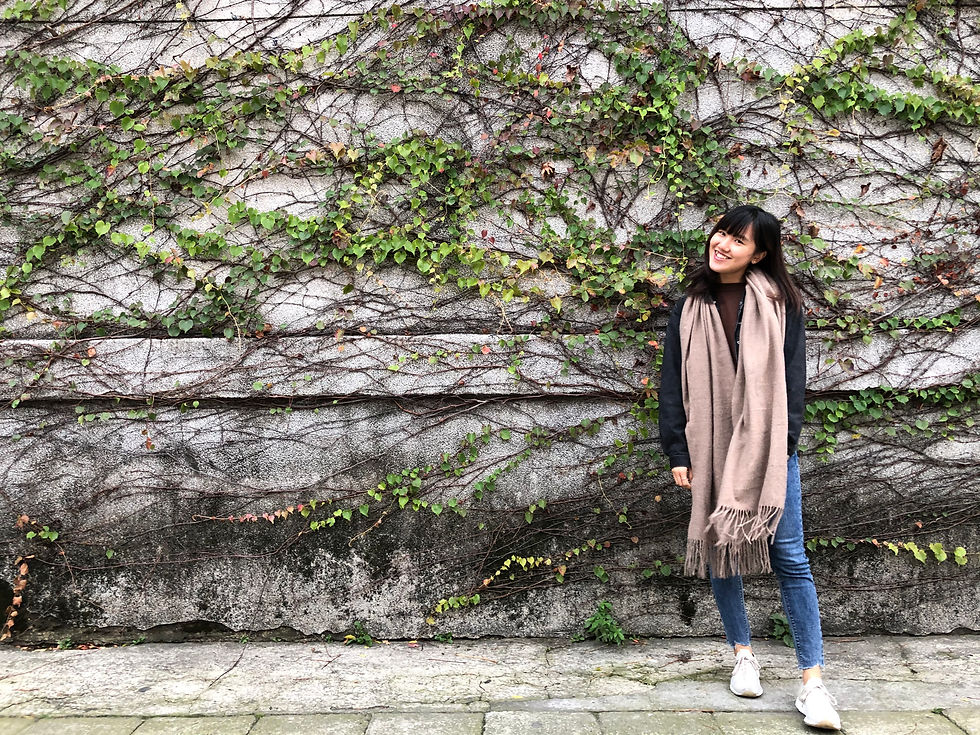 【最後95天計劃】2020年很糟，但我還想好好完結它。