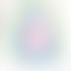 蕾