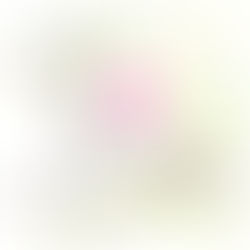 小さな挨拶