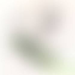 欲張ってみる?