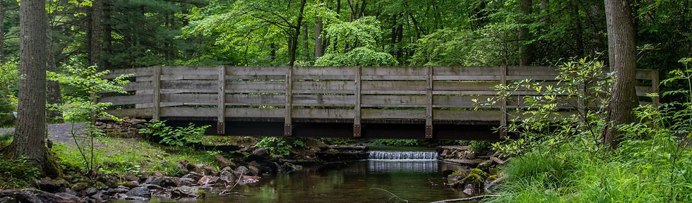 DSC_9338---Edited.jpg
