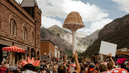 Celebrating All Things Fungi