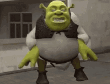 funny-shrek.gif
