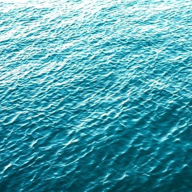 bfc9f781f10880341313813c0042a9a5_edited_edited