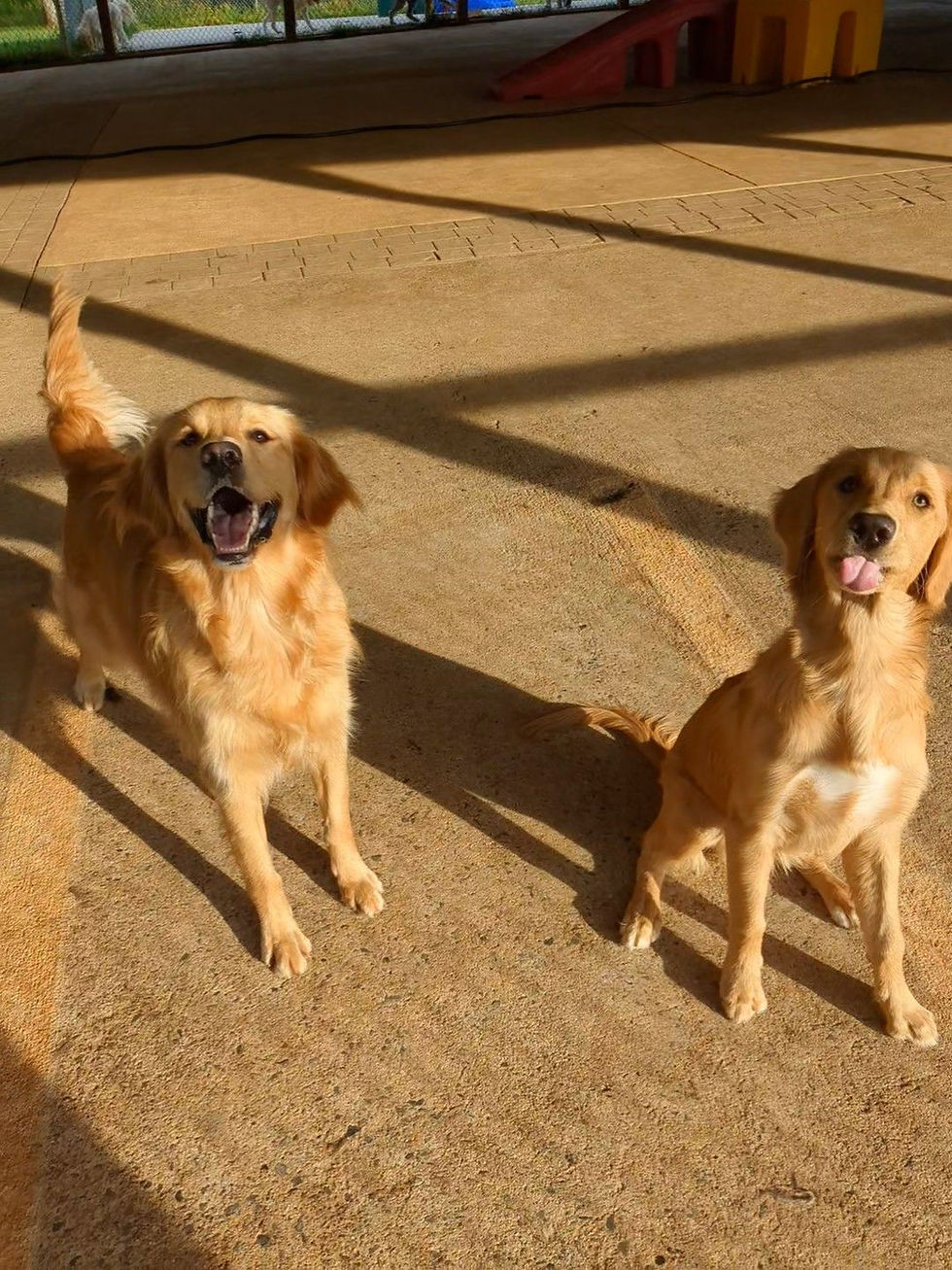 Henry and Theo in the play yard.