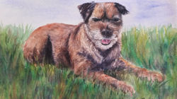 Ninni's pup- 8X10 SOLD