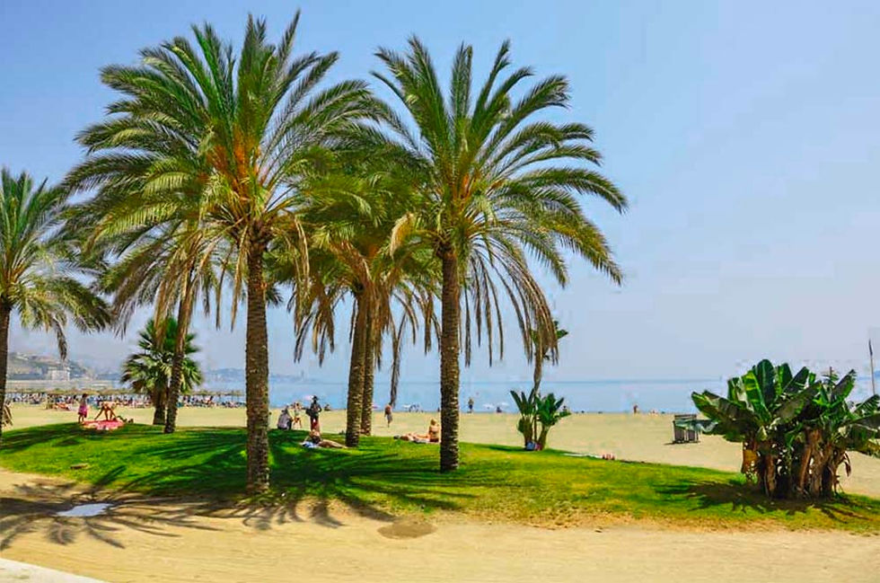 Palm_Beach_03_100x750.jpg