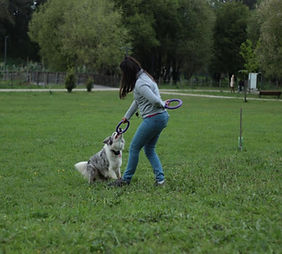 Helena - puller