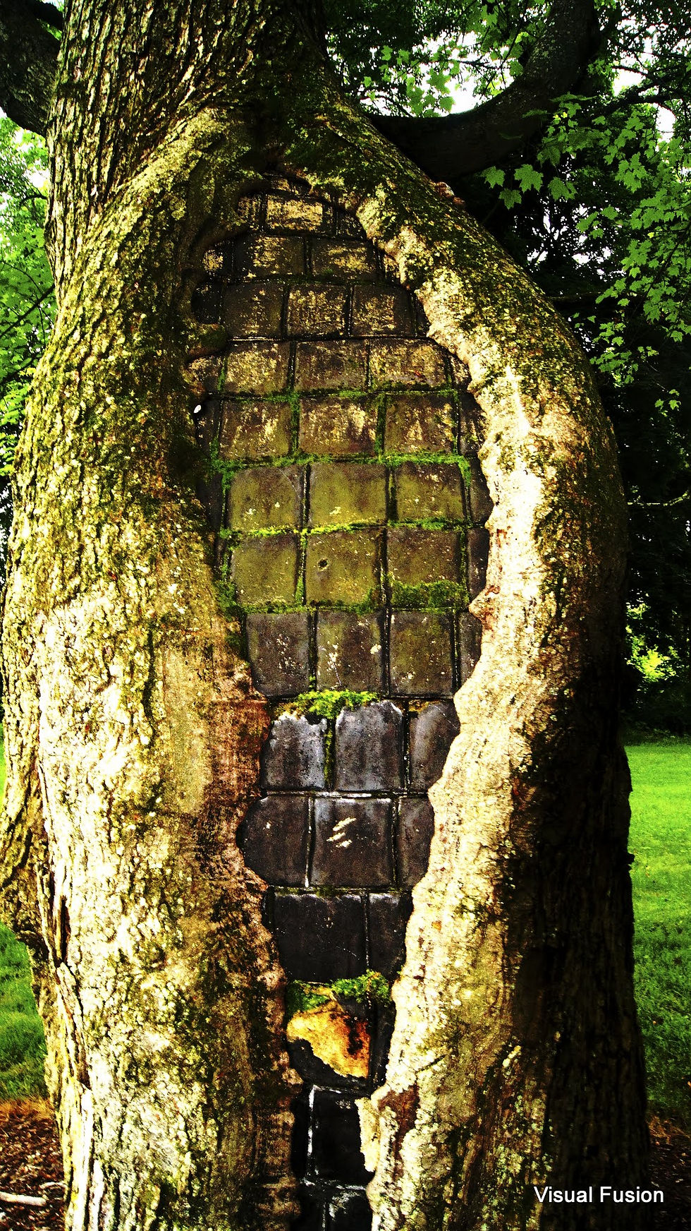 Visual Fusion Photography* Landscape