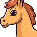pony girl.jpeg