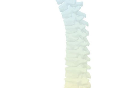 The Magic of 7輪瑜伽 Chakra yoga