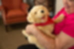 Miniaturbild: Roboter-Hund golden