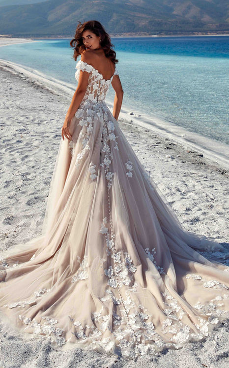 Back of an Eddy K ballgown wedding dress with ivory lace over champagne tulle, 3D appliqués and off the shoulder sleeves.