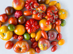 Tomato Casserole/Scalloped Tomatoes