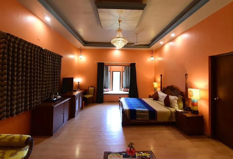 hotels in Udaipur
