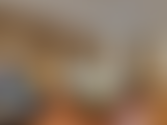 Budget Hotels That Still Feel Premium in Udaipur