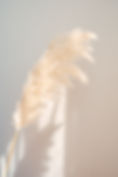 SheRadiates-Marlies-017.jpg