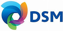 logo DSM.jpg
