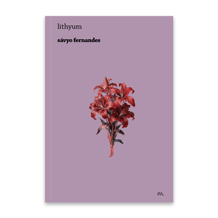 lithyum, de sávyo fernandes