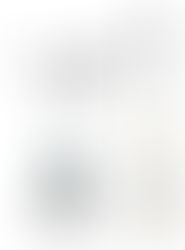 Servicio de Drone RTK