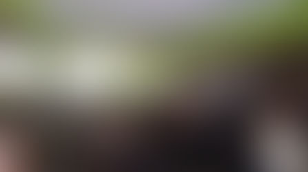 Capacitación de QGIS 3.00