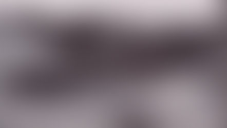 Full house for history lesson!