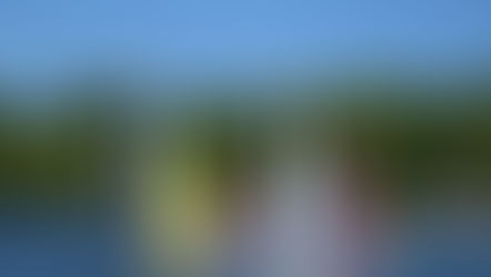 Hawk and Hansas battle it out!